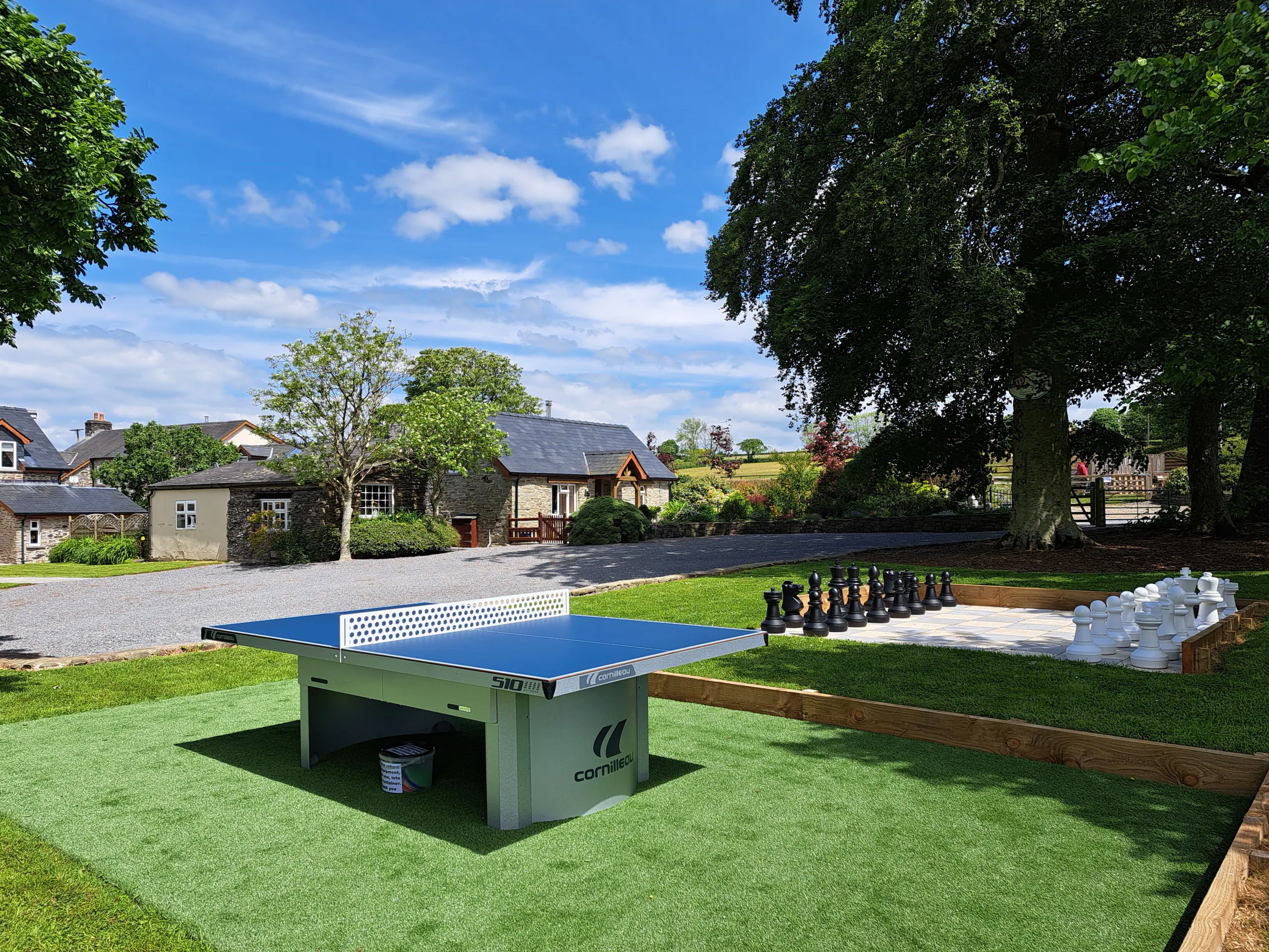 Table tennis game in the shared garden