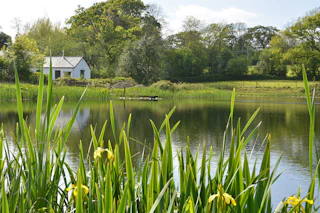 Latchygors Cottage