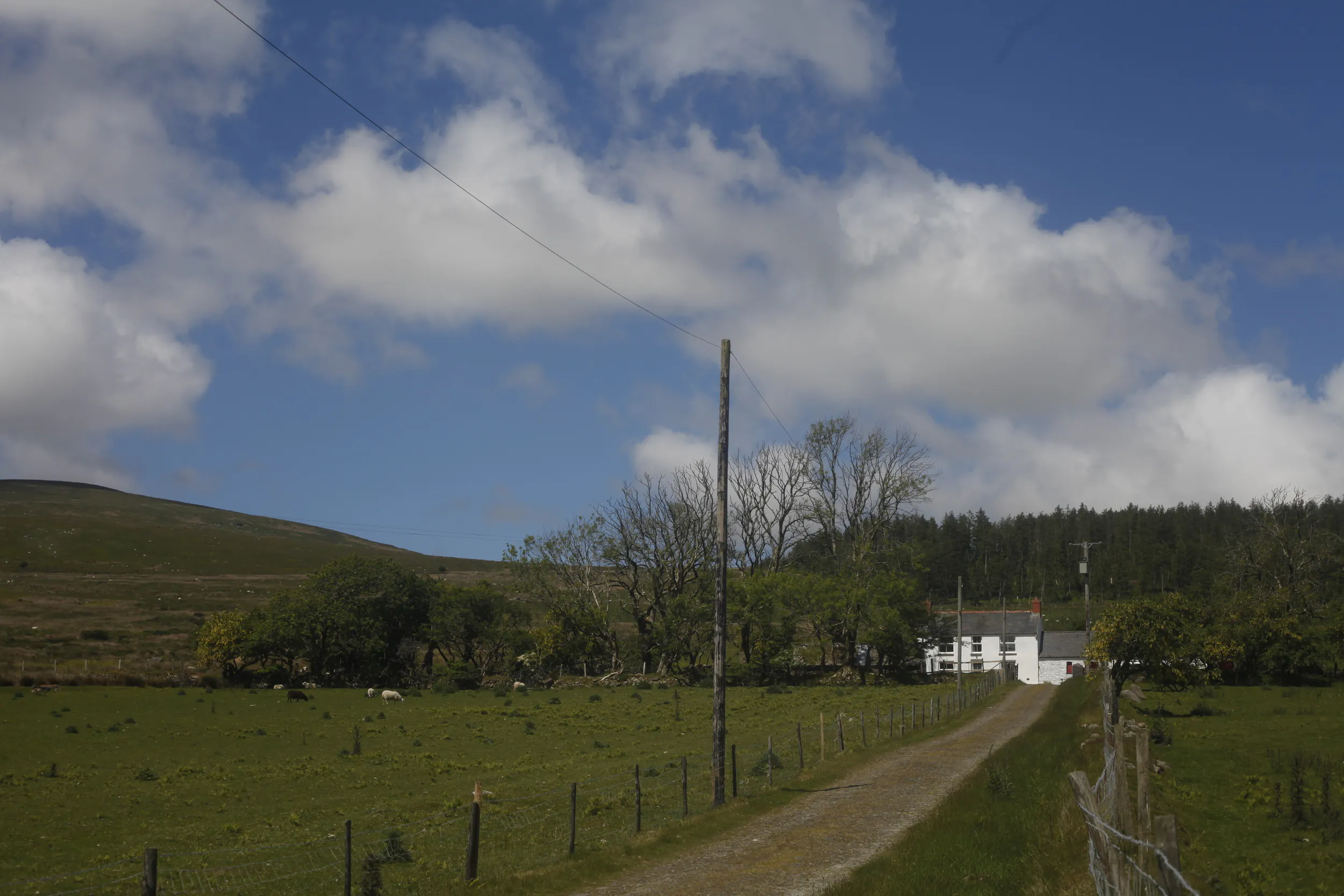 Driveway leading to Mynydd Crwn Bach cottage