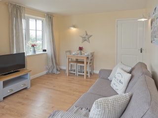 sofa, TV, window, dining area