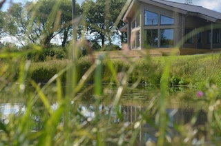 View across the lake to Ty Log